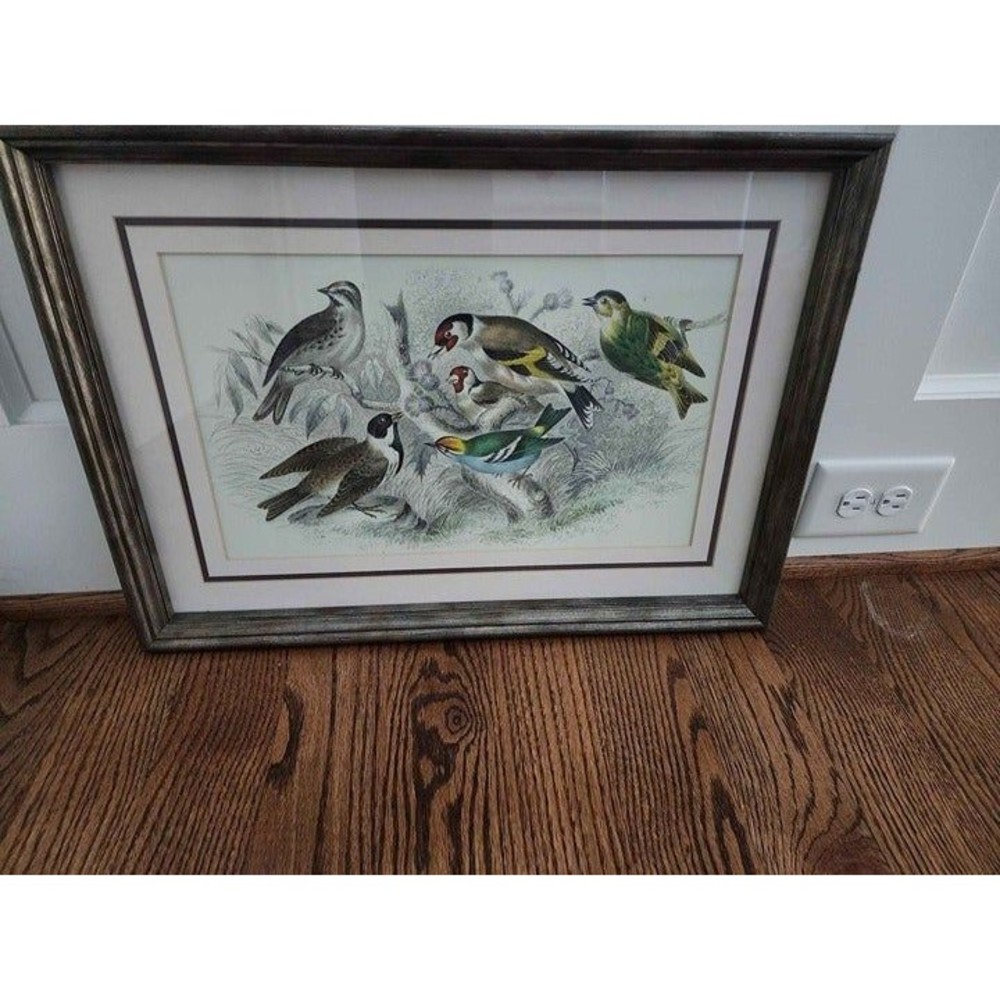 Vintage Song Bird Animal Framed Color Picture Wall Home Decor Print 15 x 21"